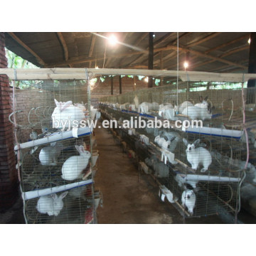 Wire Mesh Rabbit Cage For Sale (preço de venda direto de fábrica, boa qualidade, entrega rápida)